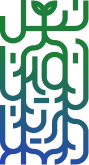 نسل نوین درین